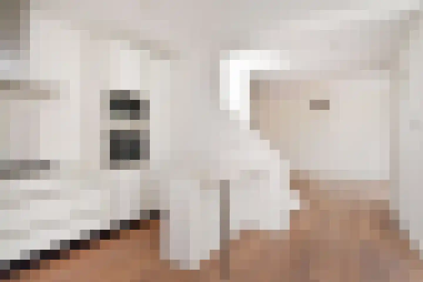 Noordenburglaan 9 Voorburg thumbnail 4