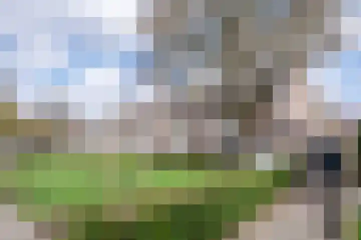 Noordende 14 Helmond thumbnail 4