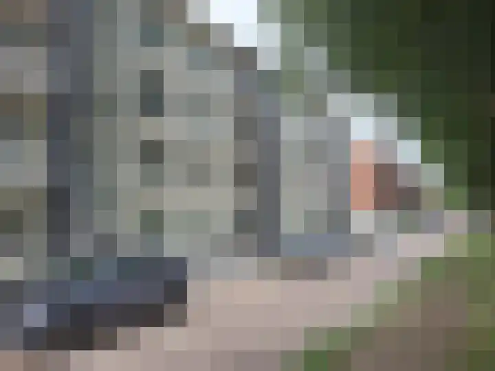 Noordendijk 551 in Dordrecht