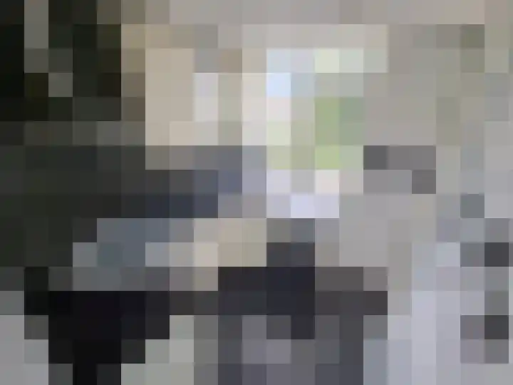 Noordendijk 551 Dordrecht thumbnail 6