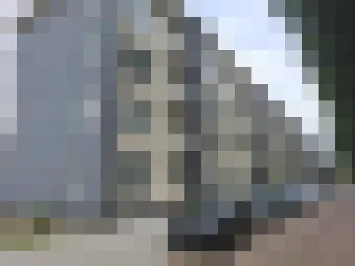 Noordendijk 669 in Dordrecht