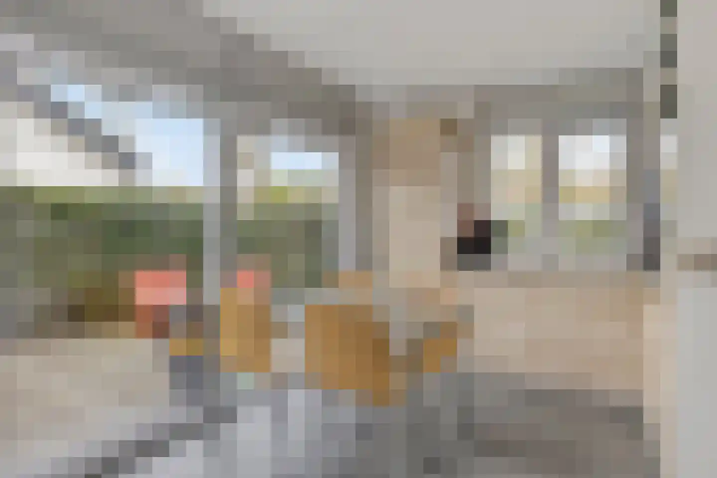 Noordendolfer 2 C 54 Zoutelande thumbnail 12