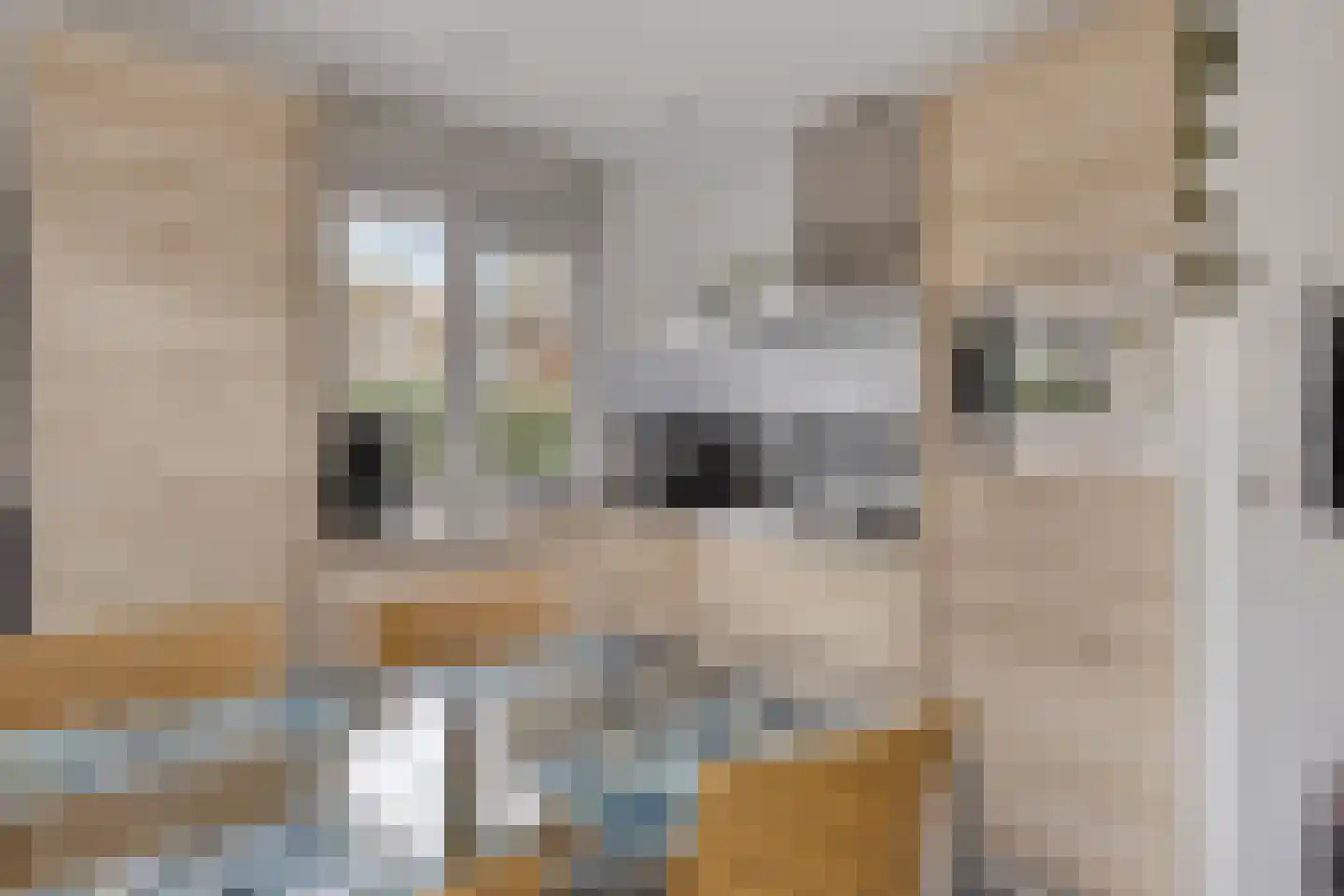Noordendolfer 2 C 54 Zoutelande thumbnail 13