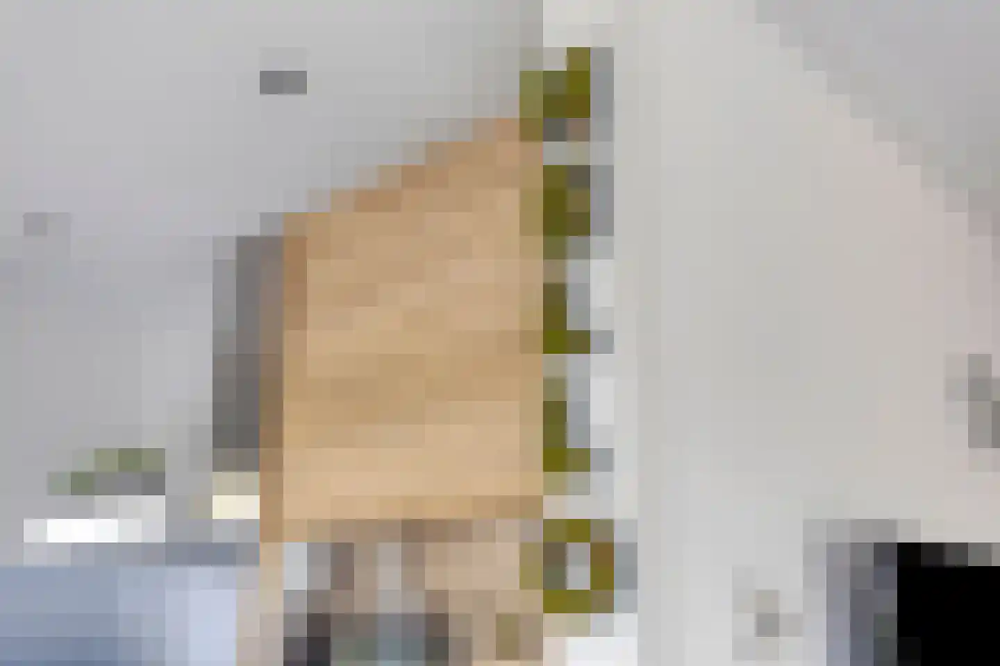 Noordendolfer 2 C 54 Zoutelande thumbnail 15