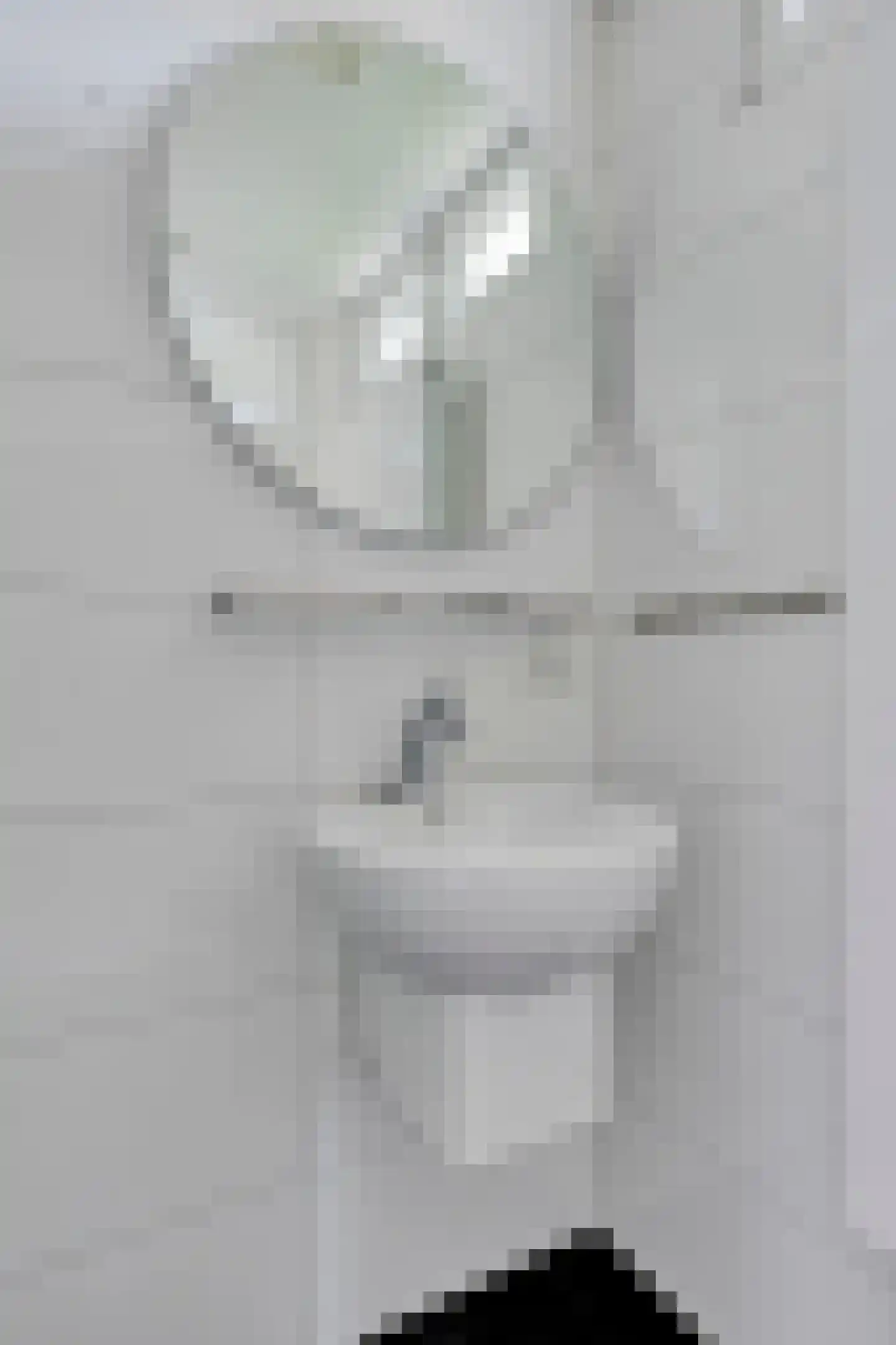 Noordendolfer 2 C 54 Zoutelande thumbnail 22