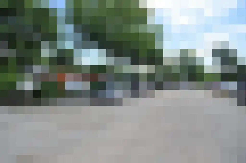 Noordendolfer 2 C 54 Zoutelande thumbnail 30