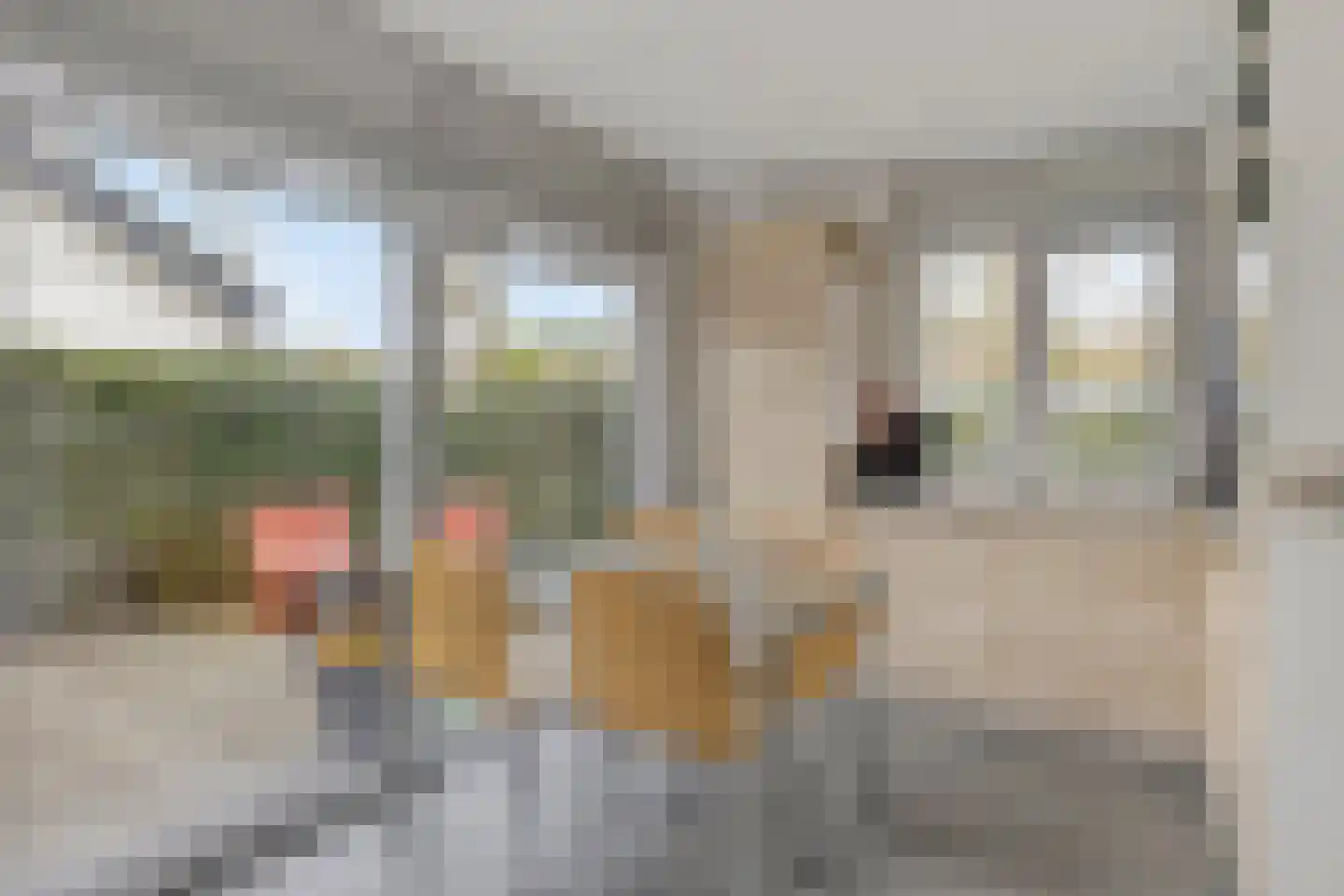 Noordendolfer 2 C 54 Zoutelande thumbnail 4