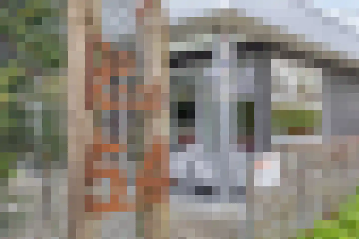 Noordendolfer 2 C 54 Zoutelande thumbnail 8