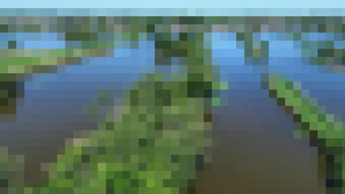 Noordenseweg 2287 Nieuwkoop thumbnail 4
