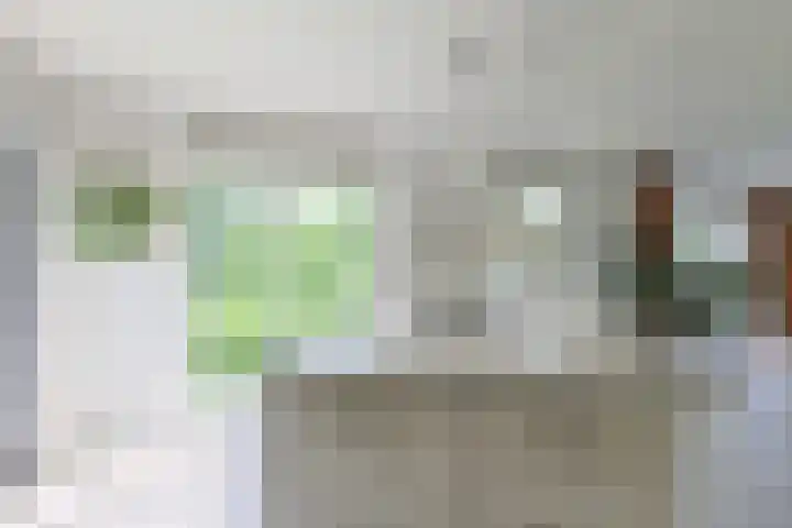 Noordenseweg 5 A Nieuwkoop thumbnail 16
