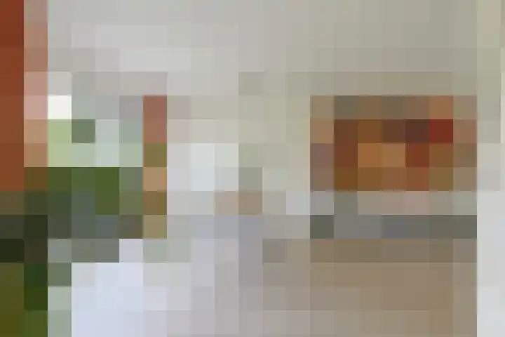 Noordenseweg 5 A Nieuwkoop thumbnail 19