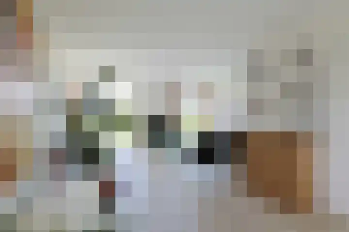 Noordenseweg 5 A Nieuwkoop thumbnail 21