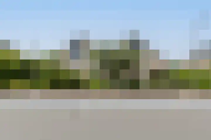 Noordenseweg 5 A Nieuwkoop thumbnail 5