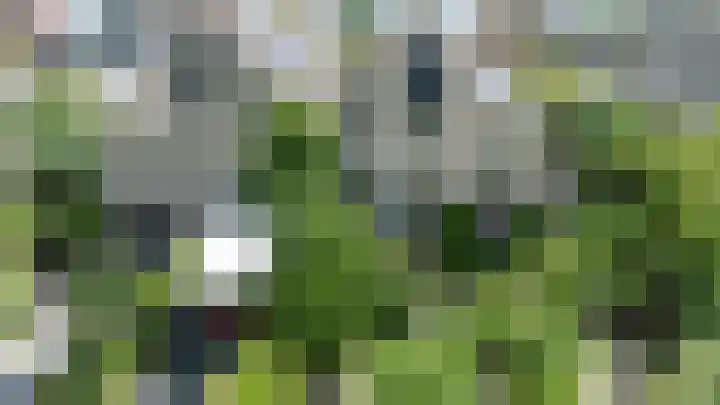 Noordenseweg 5 A Nieuwkoop thumbnail 55