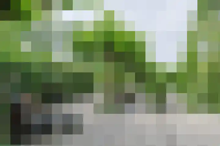 Noordenseweg 5 A Nieuwkoop thumbnail 56