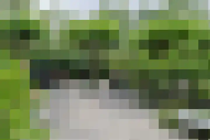 Noordenseweg 5 A Nieuwkoop thumbnail 57