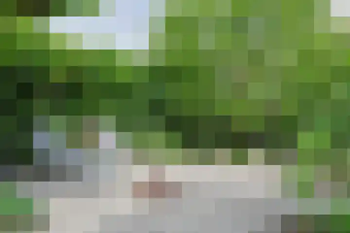 Noordenseweg 5 A Nieuwkoop thumbnail 59