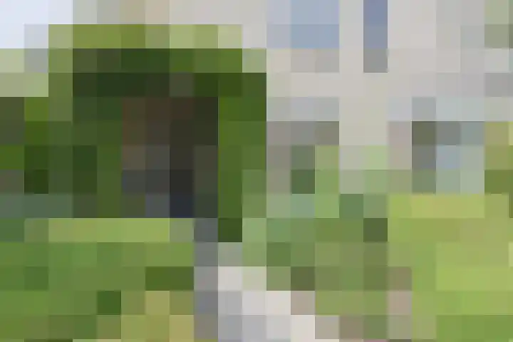 Noordenseweg 5 A Nieuwkoop thumbnail 6