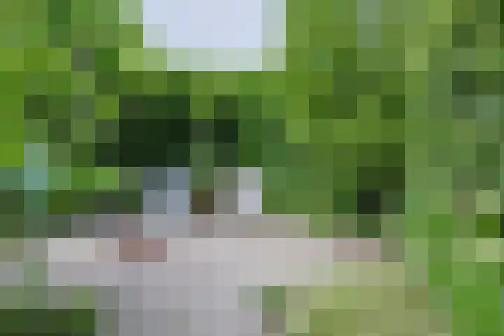 Noordenseweg 5 A Nieuwkoop thumbnail 60