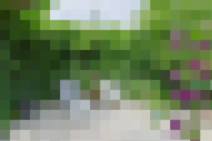 Noordenseweg 5 A Nieuwkoop thumbnail 61