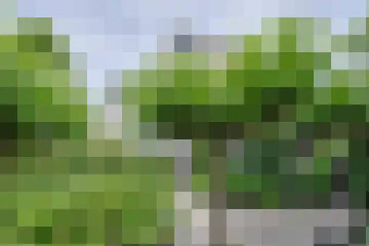 Noordenseweg 5 A Nieuwkoop thumbnail 62