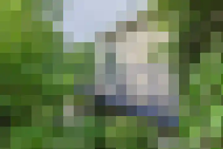 Noordenseweg 5 A Nieuwkoop thumbnail 63