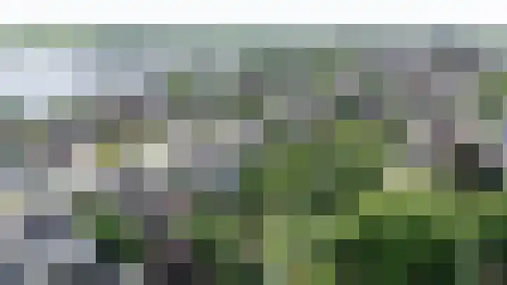 Noordenseweg 5 A Nieuwkoop thumbnail 68