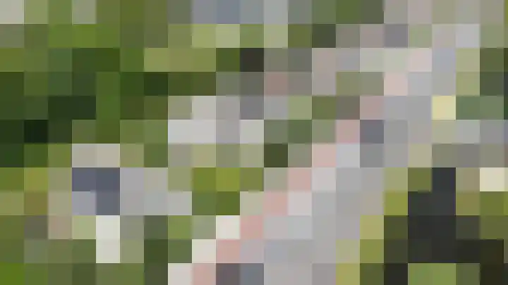 Noordenseweg 5 A Nieuwkoop thumbnail 72