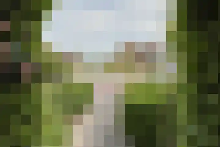 Noordenseweg 5 A Nieuwkoop thumbnail 8