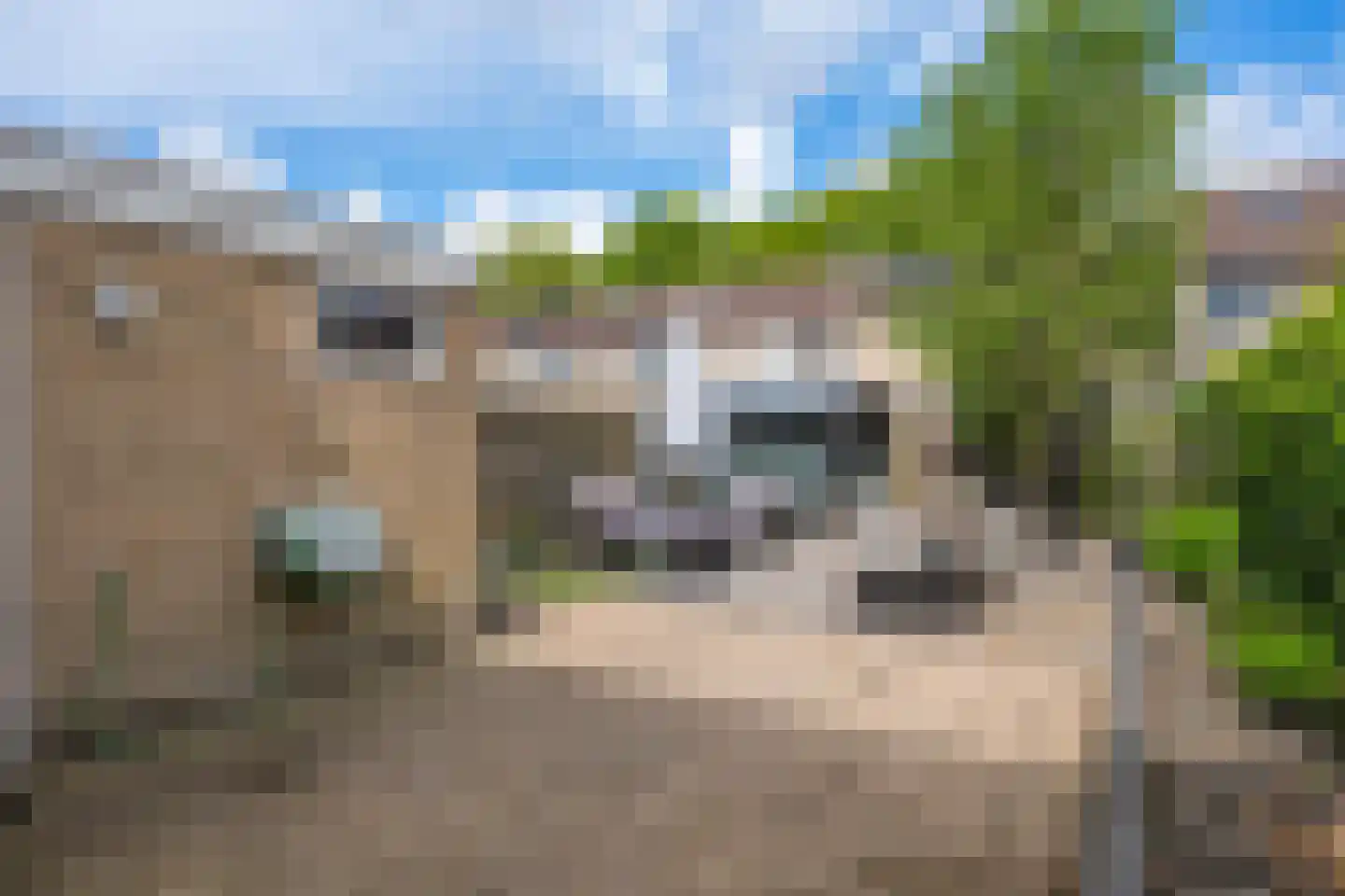 Noordenveld 11 Veendam thumbnail 34