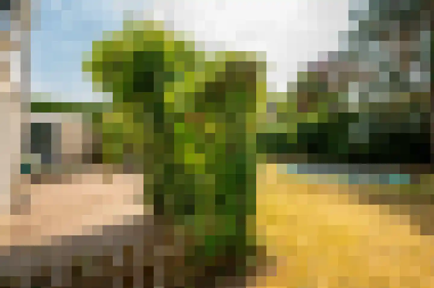 Noordenveld 14 Lelystad thumbnail 44