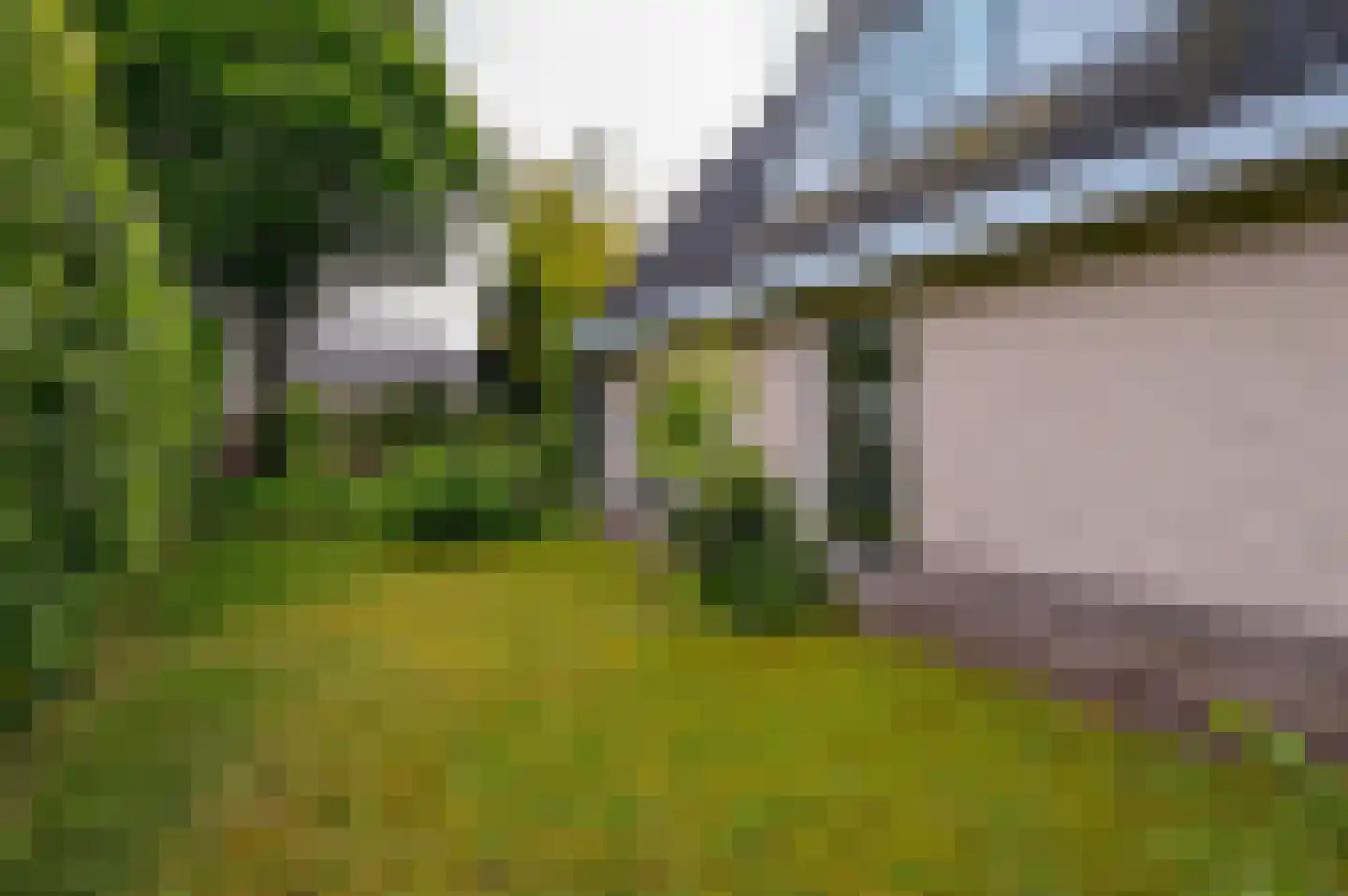 Noordenveld 14 Lelystad thumbnail 49