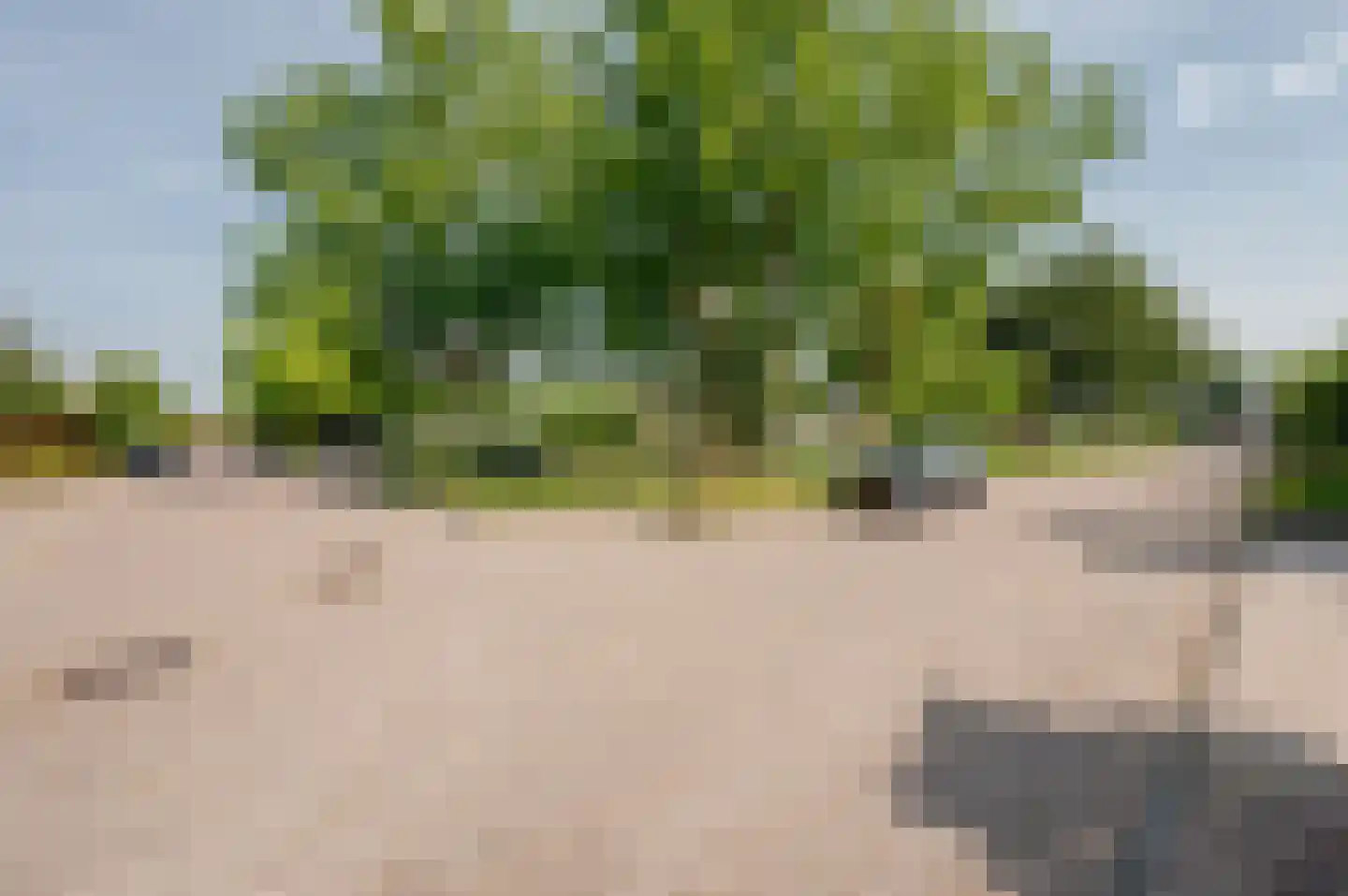 Noordenveld 14 Lelystad thumbnail 55