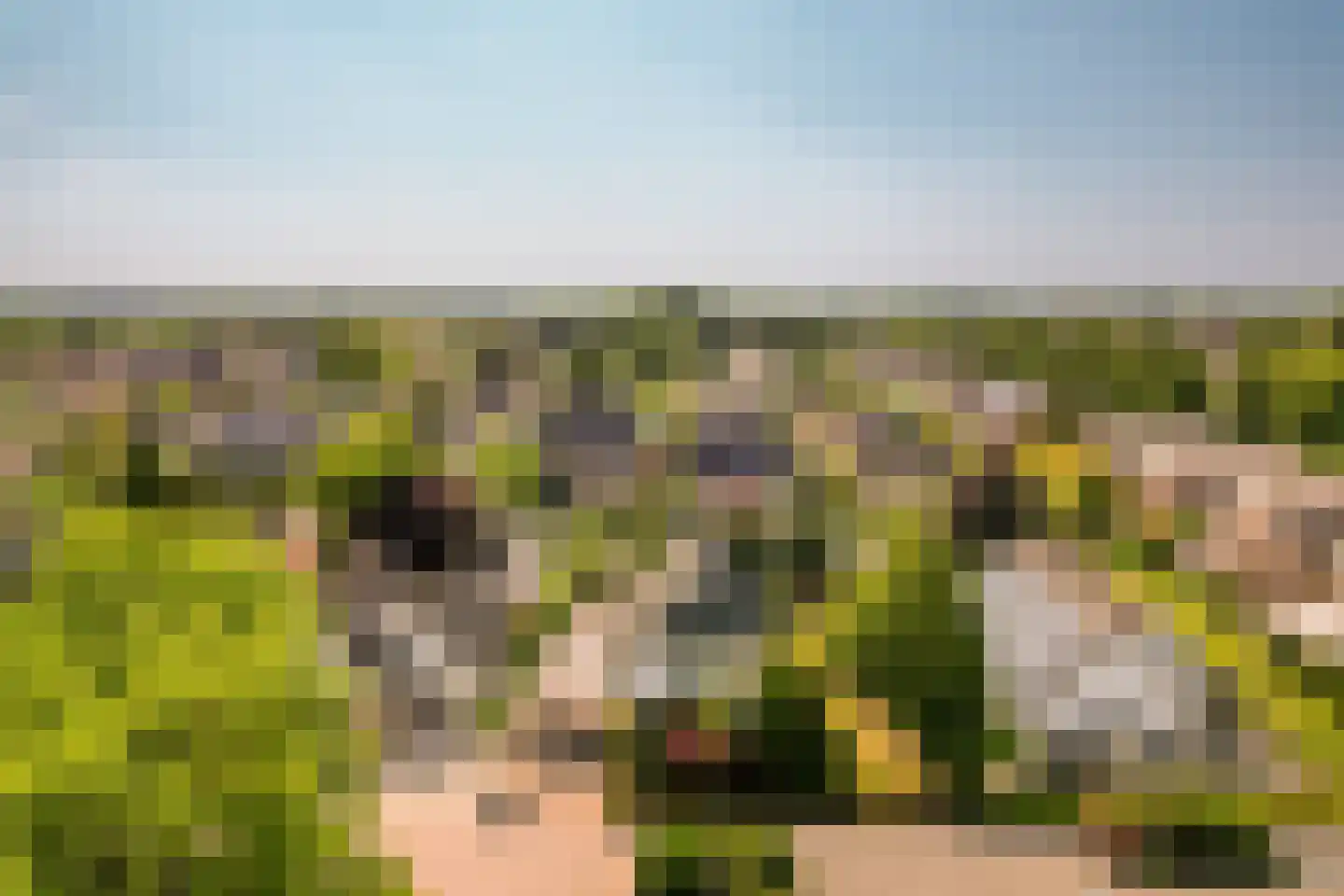 Noordenveld 14 Lelystad thumbnail 61