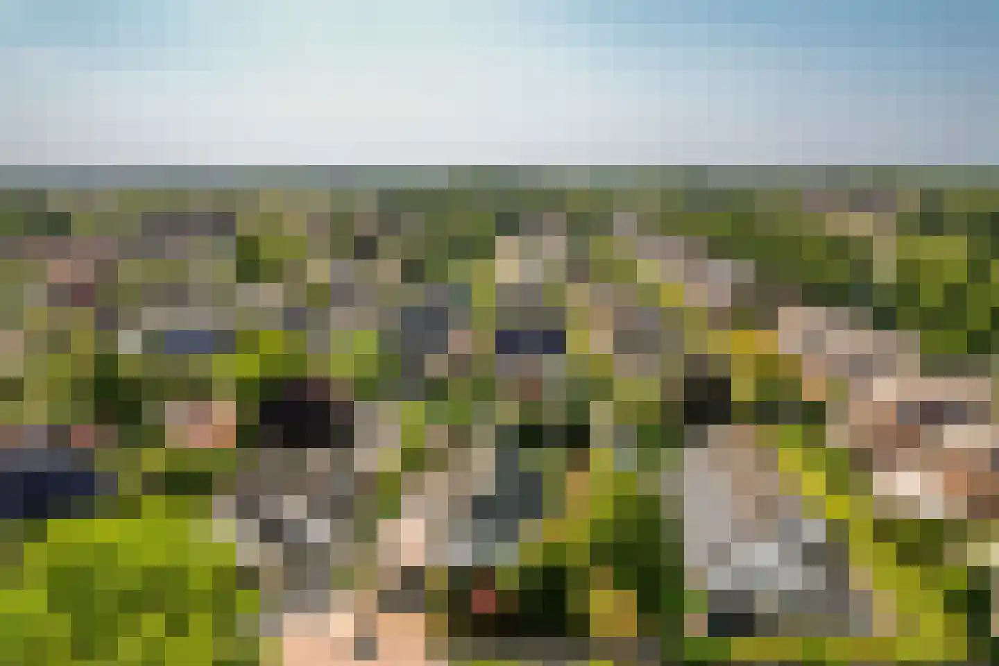Noordenveld 14 Lelystad thumbnail 63