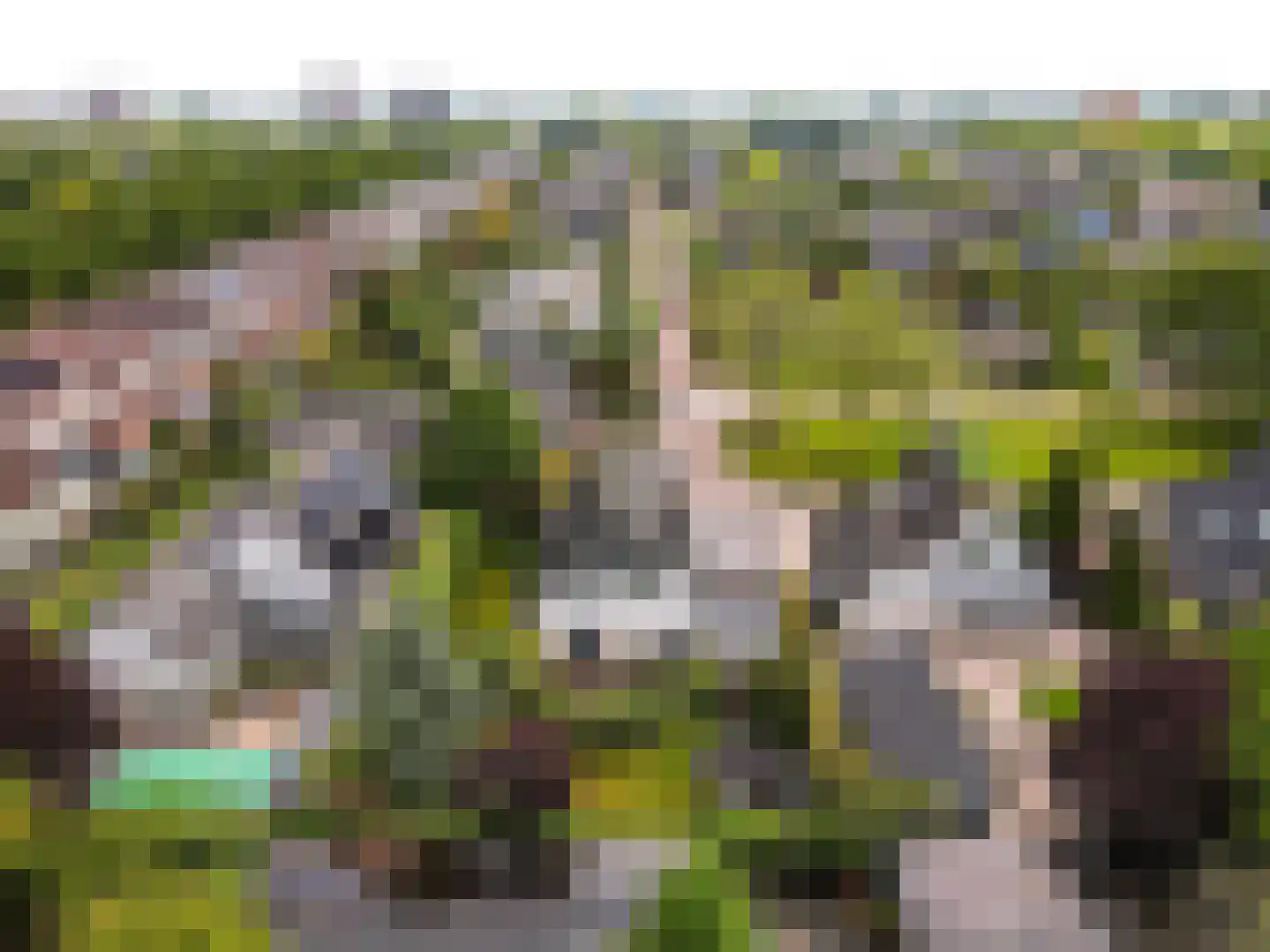 Noordenveld 14 Lelystad thumbnail 64