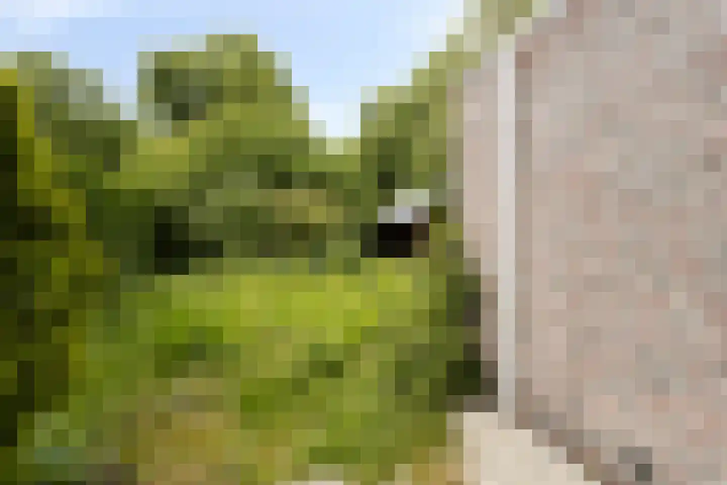 Noordenveld 5 Emmeloord thumbnail 30