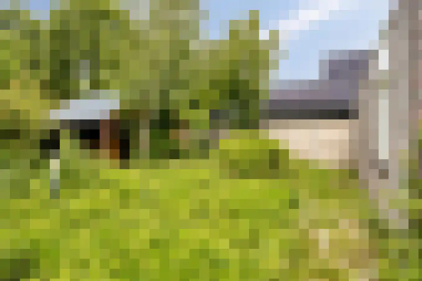 Noordenveld 5 Emmeloord thumbnail 31