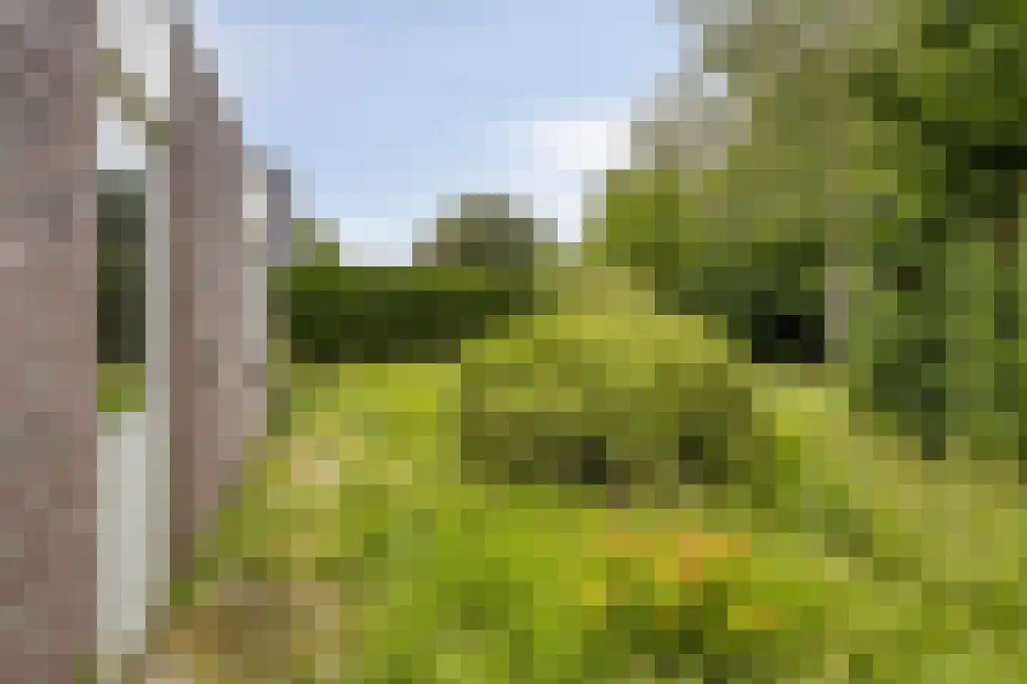 Noordenveld 5 Emmeloord thumbnail 32
