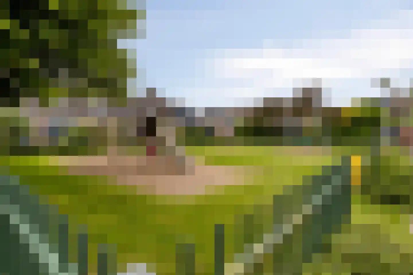 Noordenveld 5 Emmeloord thumbnail 34
