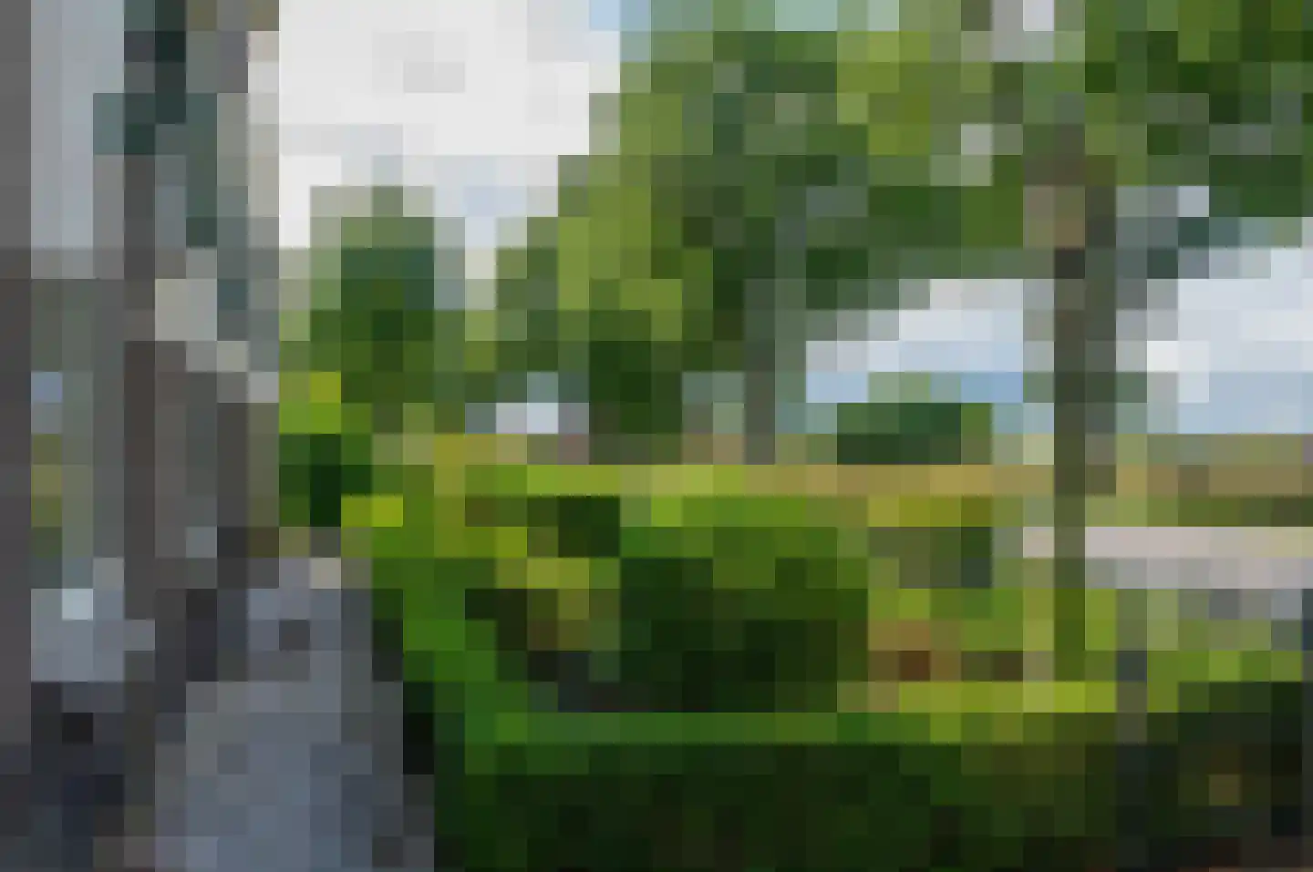 Noordenveldweg 110 Donderen thumbnail 48
