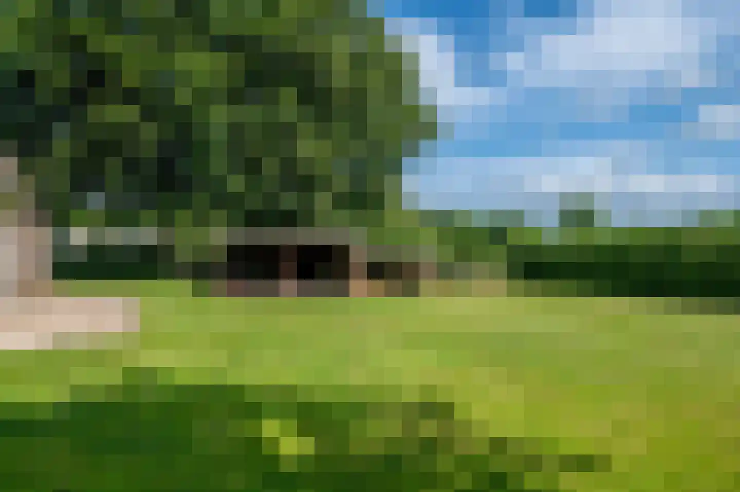 Noordenveldweg 110 Donderen thumbnail 57