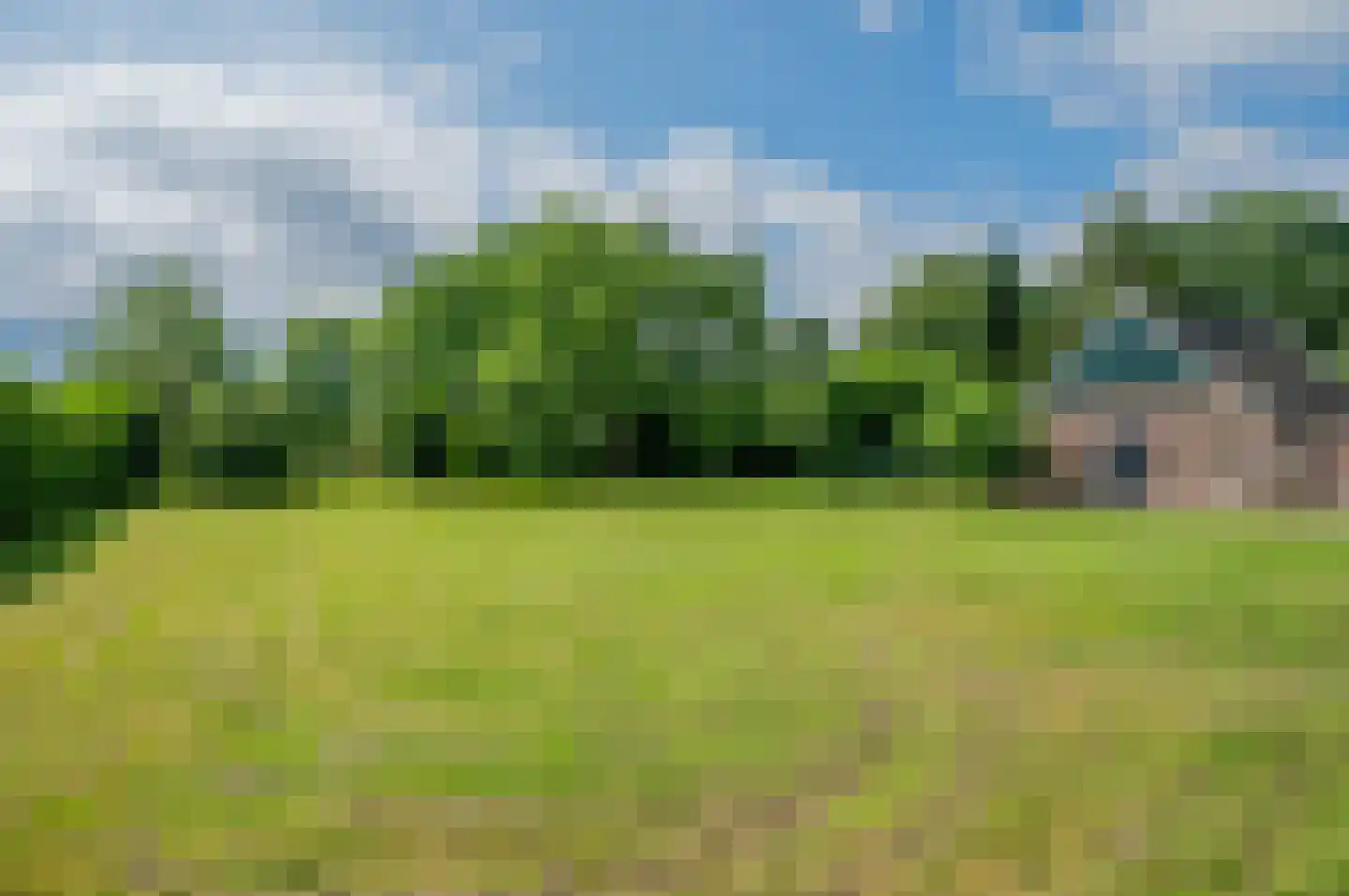 Noordenveldweg 110 Donderen thumbnail 58