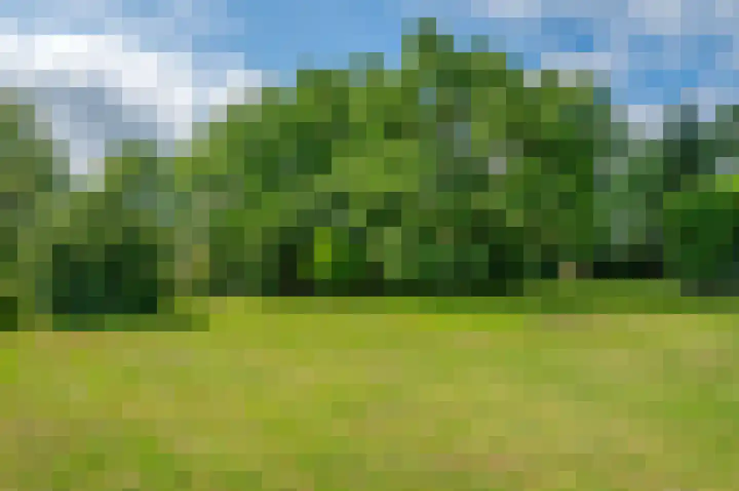 Noordenveldweg 110 Donderen thumbnail 59