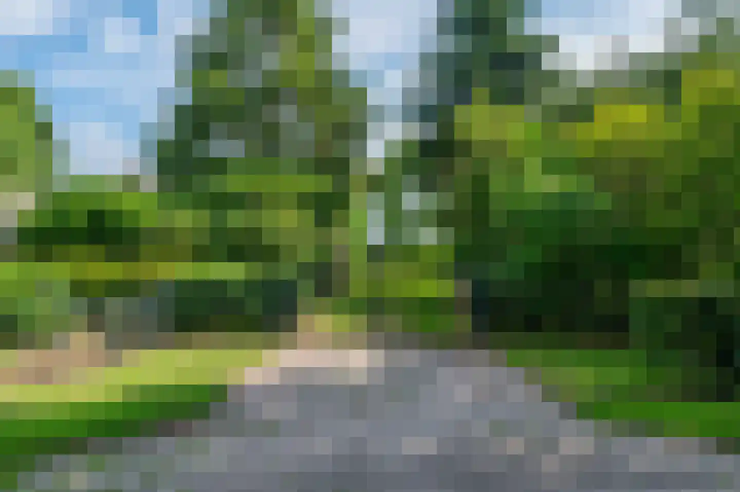 Noordenveldweg 110 Donderen thumbnail 6