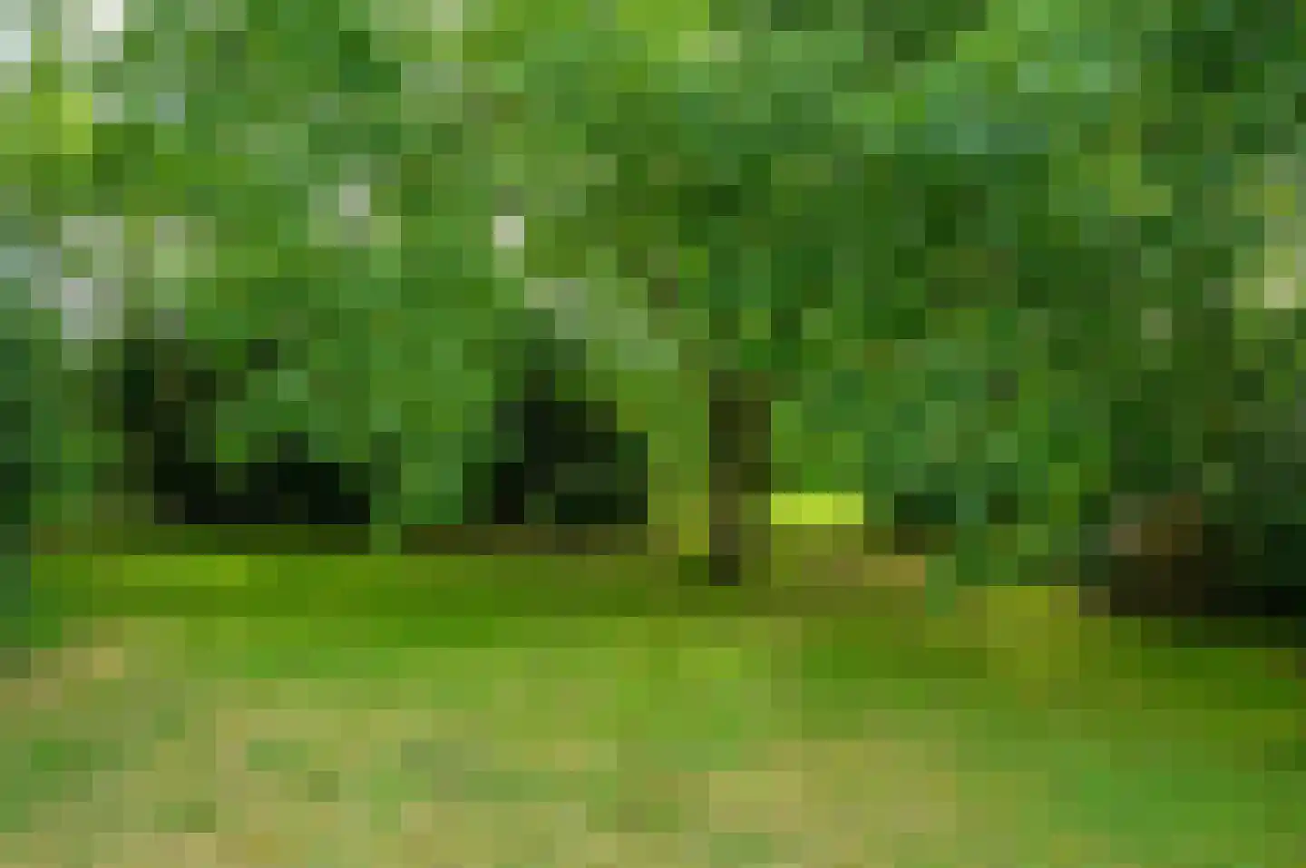 Noordenveldweg 110 Donderen thumbnail 60