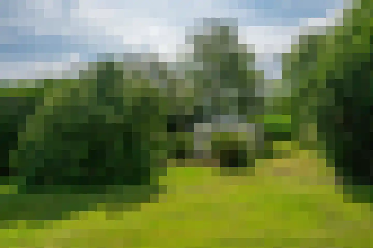 Noordenveldweg 110 Donderen thumbnail 61