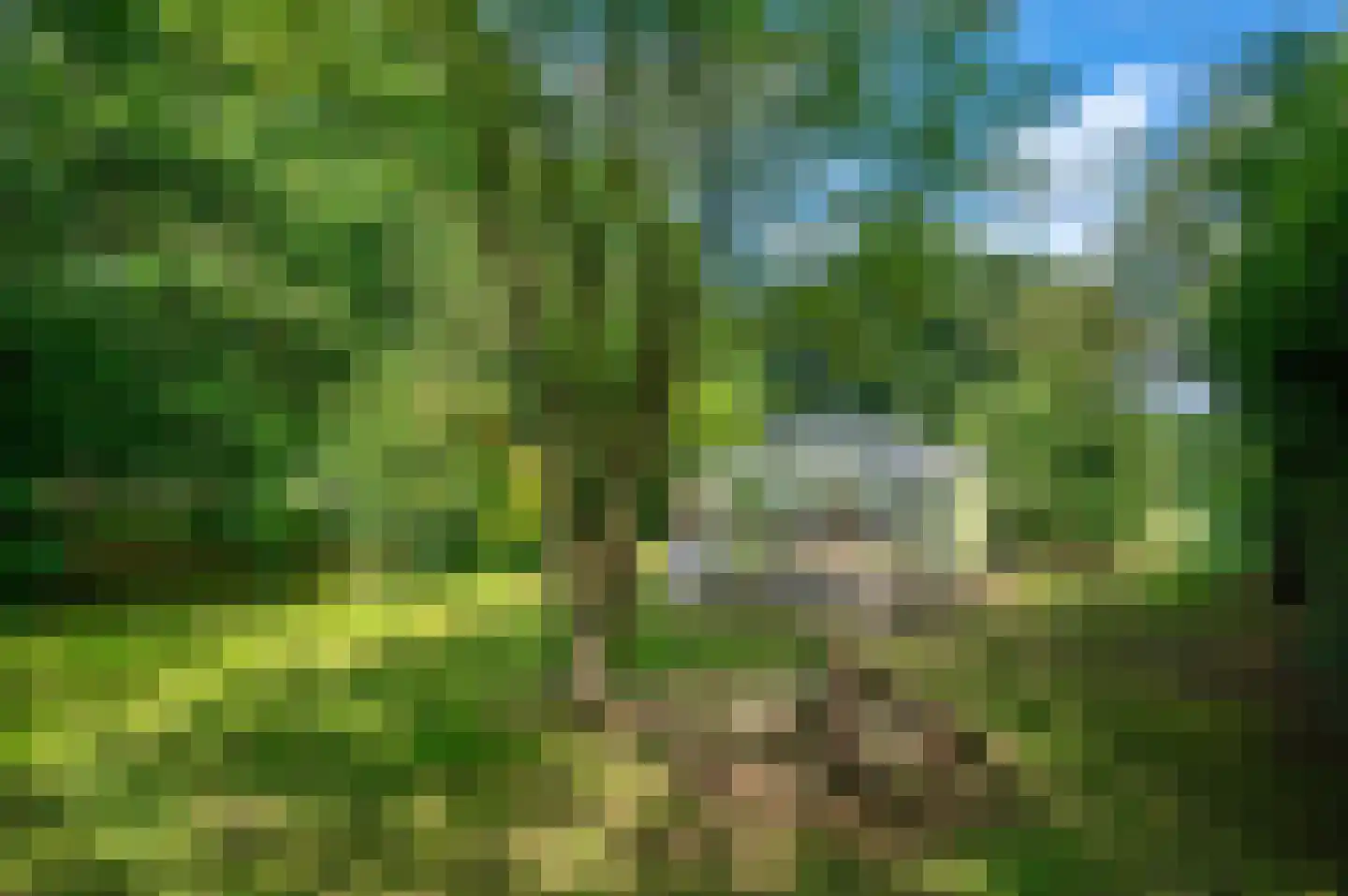Noordenveldweg 110 Donderen thumbnail 62