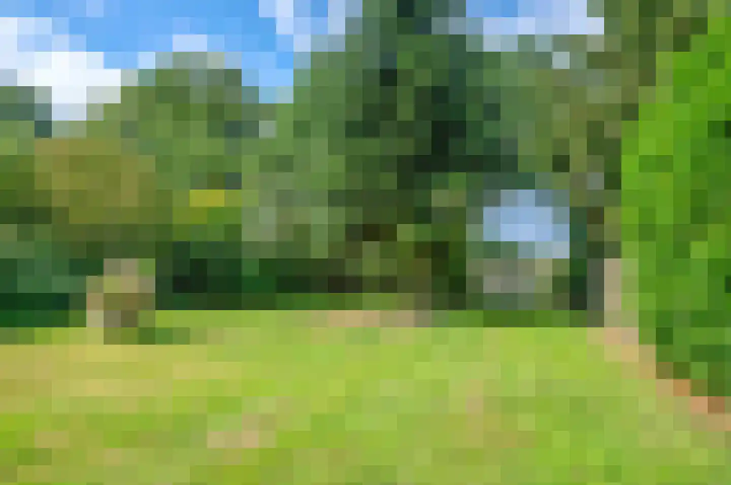 Noordenveldweg 110 Donderen thumbnail 63