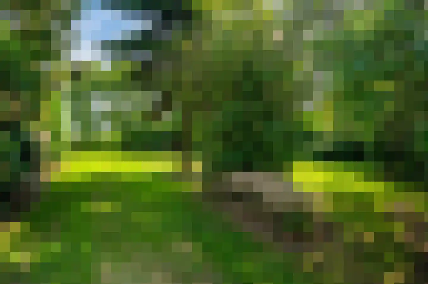 Noordenveldweg 110 Donderen thumbnail 64